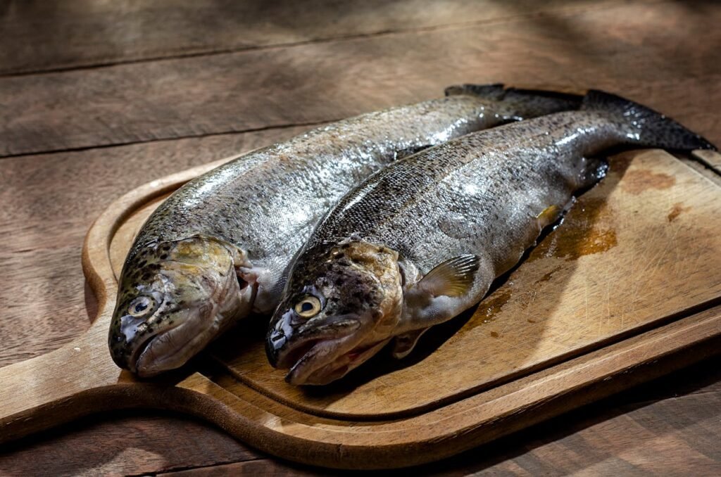 Freshwater Fish